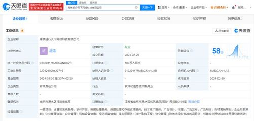 王思聰普思資本布局南京，投資計算機系統服務新公司